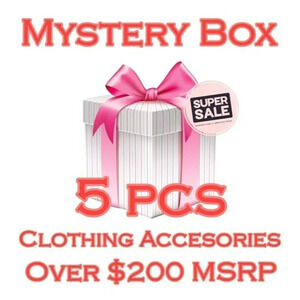 Mystery Box of 5 Variety Pieces of Clothing Accessories ($200-$250 Retail Value)